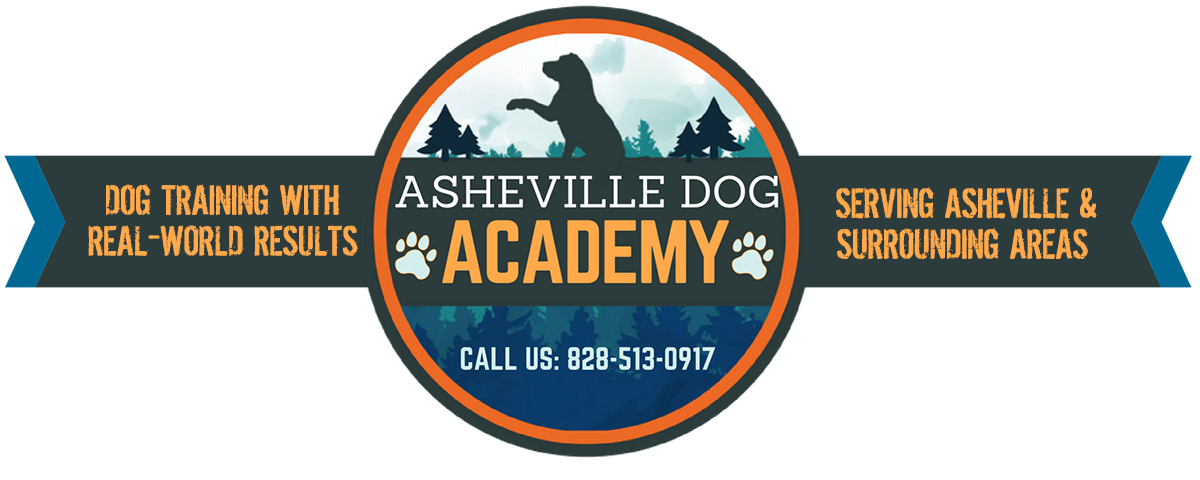 Asheville Dog Academy LLC - Dog Training